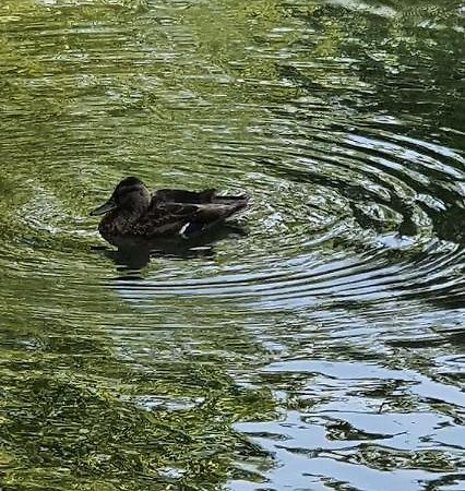 Fewo Bei Lehmanns Werl Exteriör bild