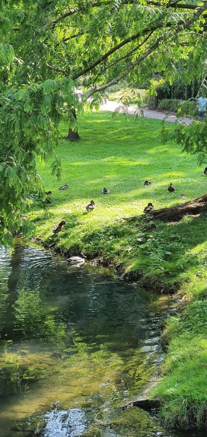 Fewo Bei Lehmanns Werl Exteriör bild